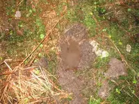 emptyHOLE02.webp