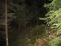juurisahahammas 03.webp