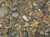 Bird point#3from T in-situ.webp