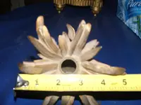 DSCF1695.webp