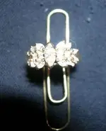 ring.webp