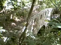 bridge.webp
