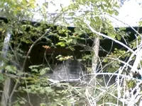 cabin 2.webp