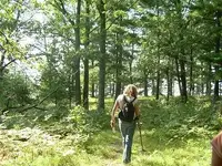 Mama on SIsland.webp