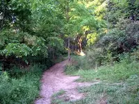 atv_path2.webp