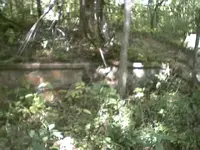 foundation-4.webp