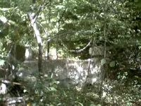 foundation-6.webp