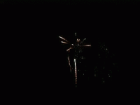 fireworks.gif