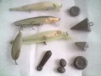 fishn.webp