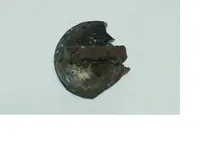 Hat Badge Rear ID..webp