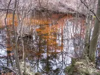 bridge remains.webp