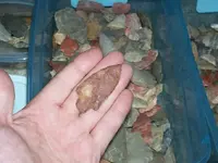 Patina2.webp