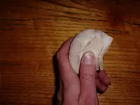 bone1.webp