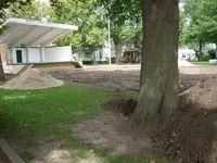 park11.webp