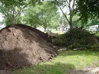park12.webp