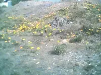 errie005.webp