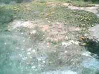 errie014.webp