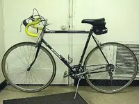 Go Green 003.webp