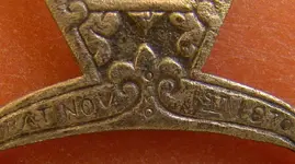 closeup.webp