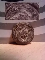 Civil_War_Button_back.webp