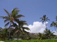 Hawaii 053.JPG
