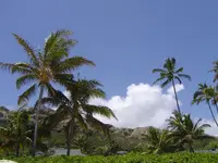 Hawaii 053.webp