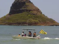 Hawaii 065.webp