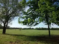 Beautiful Morning of Detecting.webp