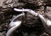 my finds 002.webp