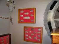 100_3105.webp