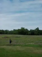 Boy in Field.webp