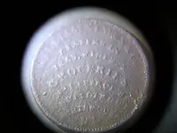 103_0619.webp