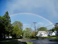 neighborhood beautifier.webp