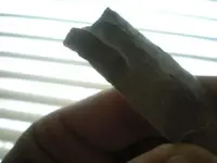 DSCN3187.webp
