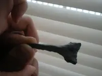 DSCN3190.webp