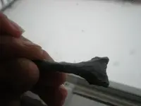 DSCN3192.webp
