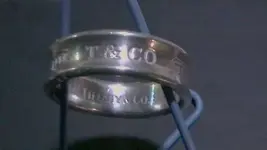 ring 27Mar2010 001.webp
