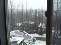 SDC10033.webp
