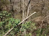 SSC_0060.webp