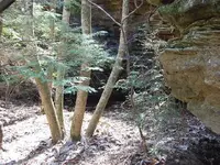 SSC_0061.webp