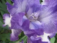 sunday_may_16_040.webp