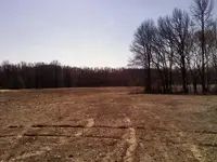 field1.webp