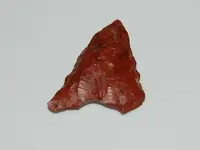 CSC_0077.webp