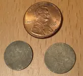 Tiny.webp