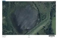 odd image(1).webp