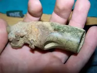 what are they relics 234.webp