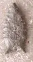 DSCN0278.webp