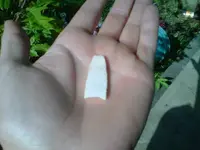 IMG00221-20100519-0829.webp