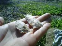 IMG00223-20100519-0833.webp