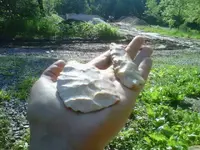 IMG00224-20100519-0834.webp